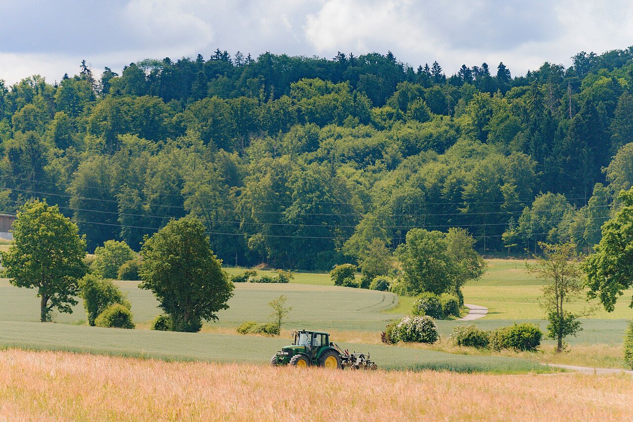 Peter Fröhlich Soil to Soul regenerative Landwirtschaft Syngenta