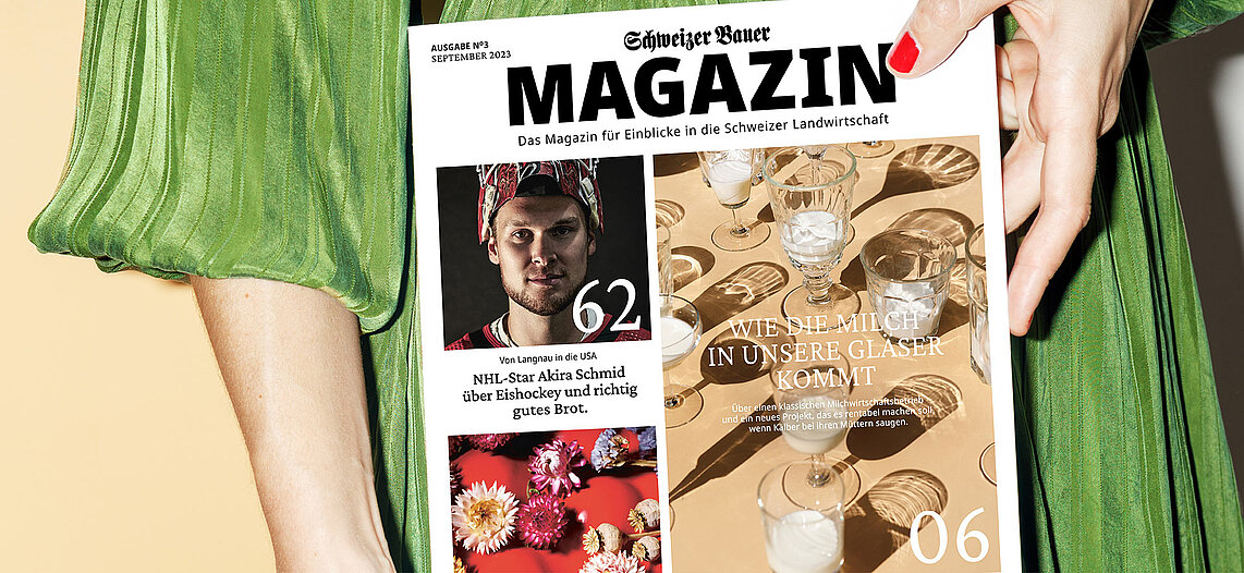 SB MAG N3 abonnieren