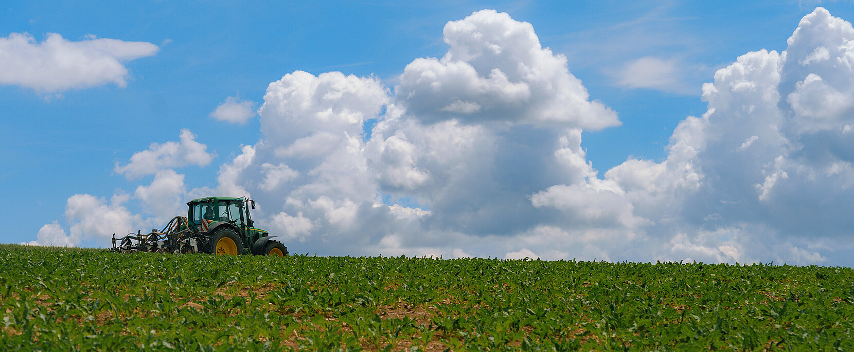 Peter Fröhlich Soil to Soul regenerative Landwirtschaft Syngenta
