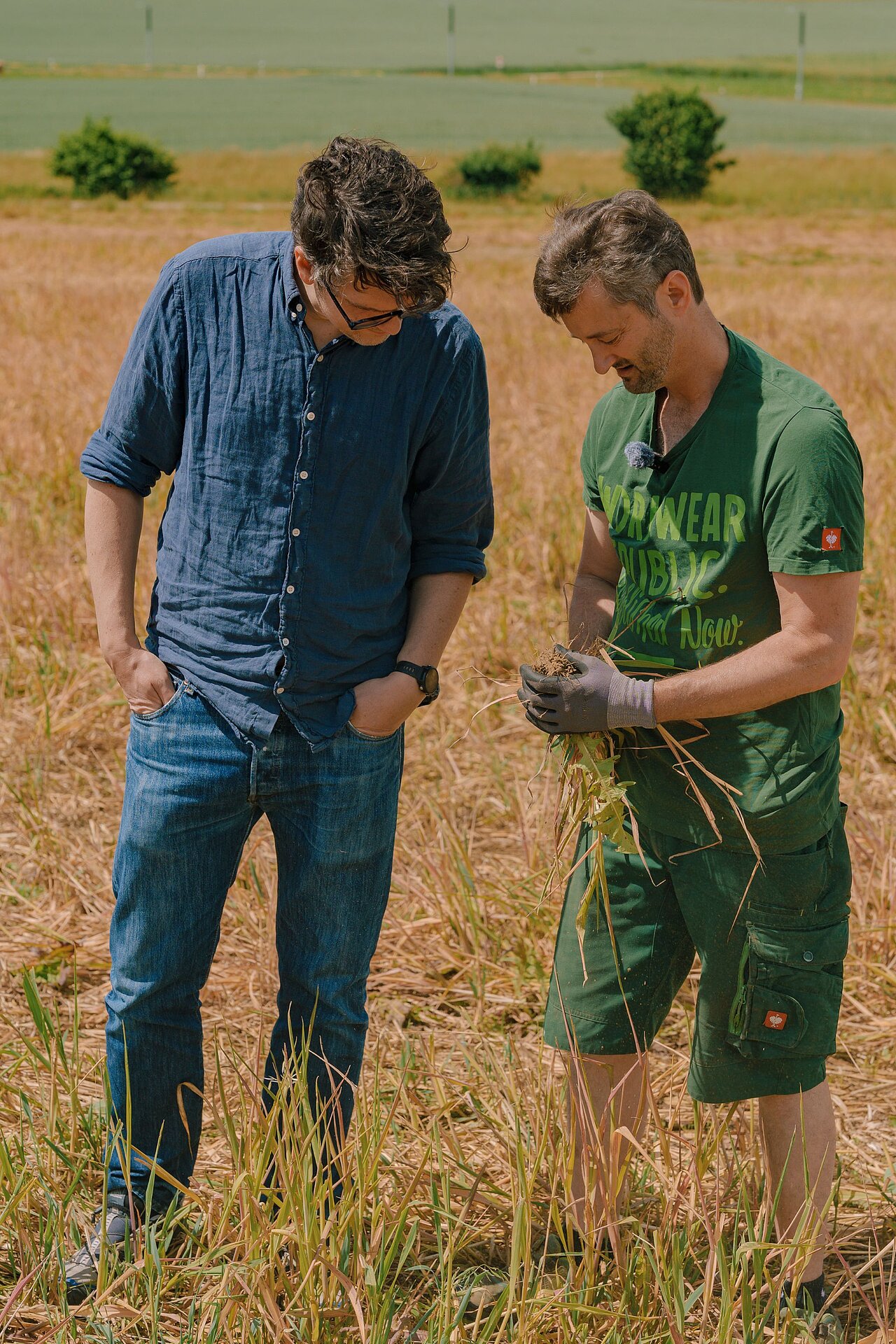Peter Fröhlich Soil to Soul regenerative Landwirtschaft Syngenta