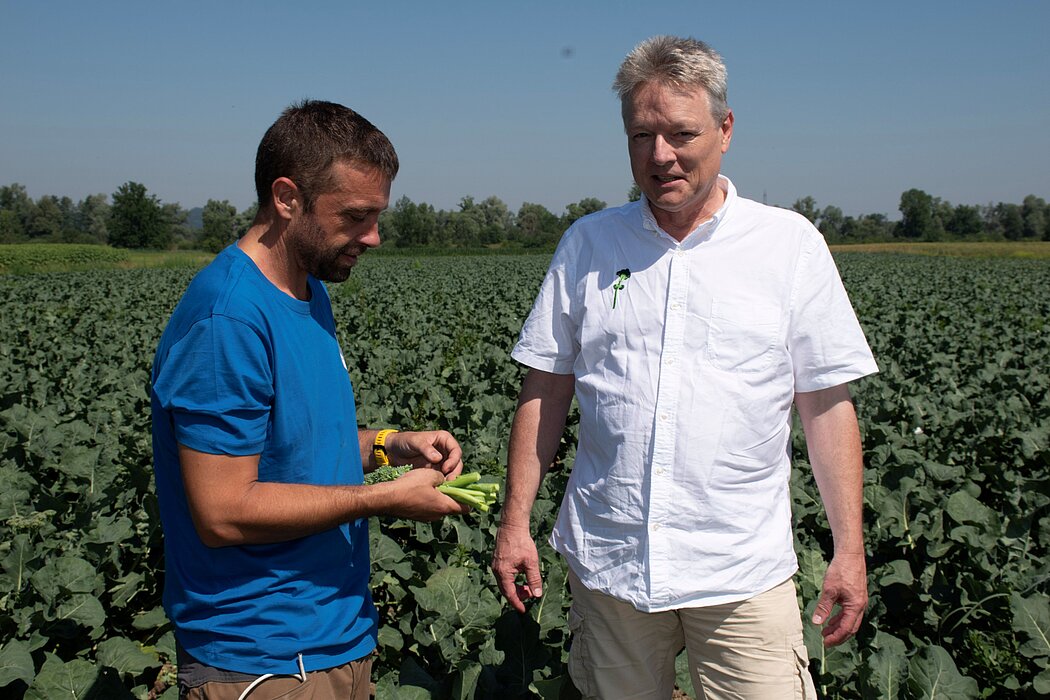 Bimi Patent Jonas Boog Hans Renia