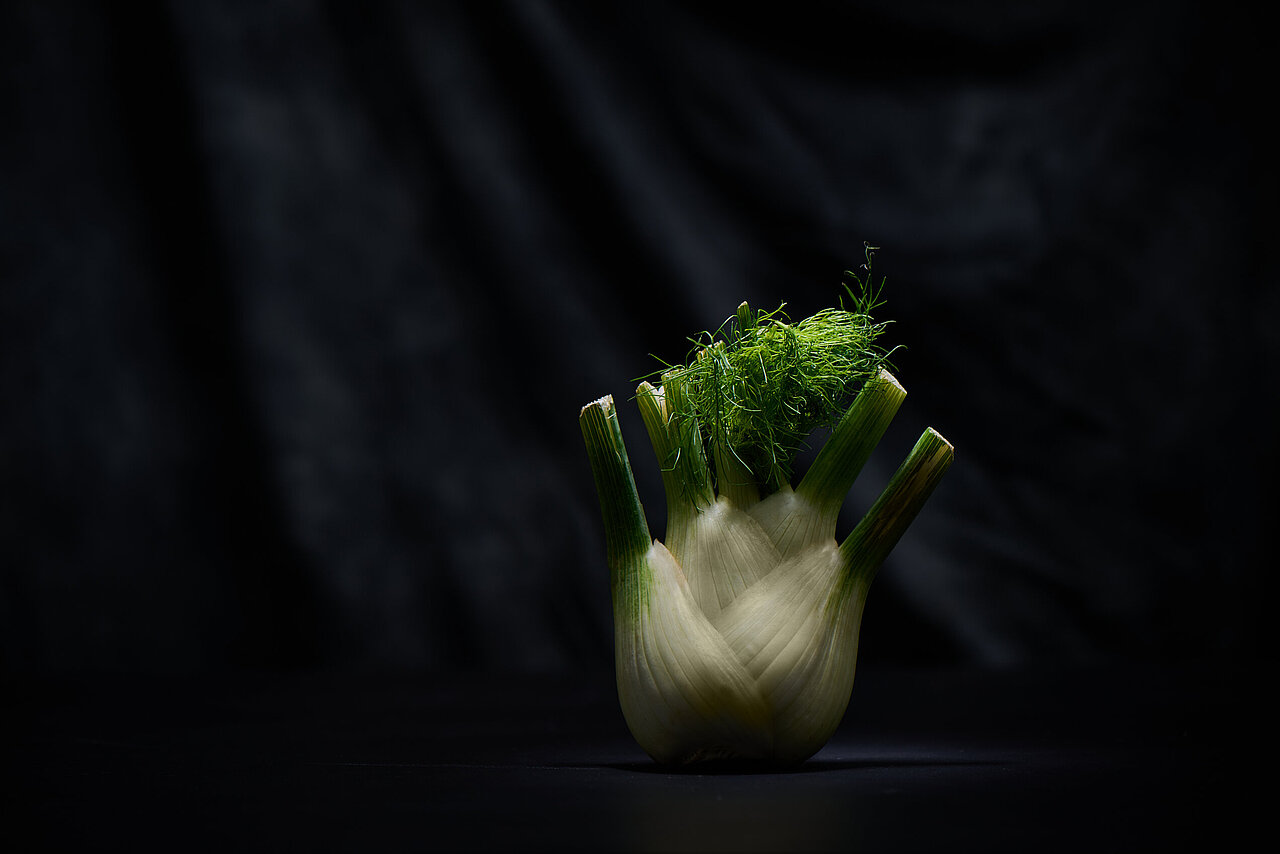 Fenchel Heilkraut Gewürz Gemüse Barbara Hess