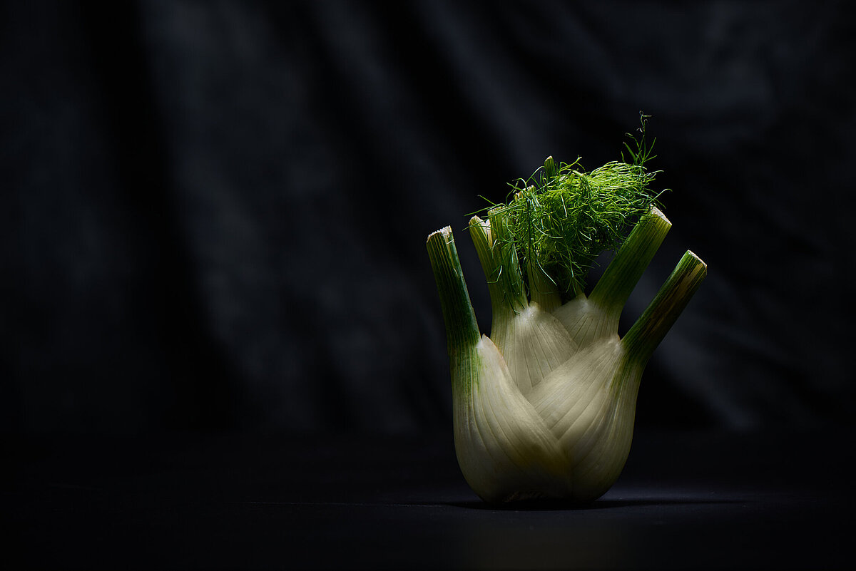 Barbara Hess Was hat Saison? Fenchel