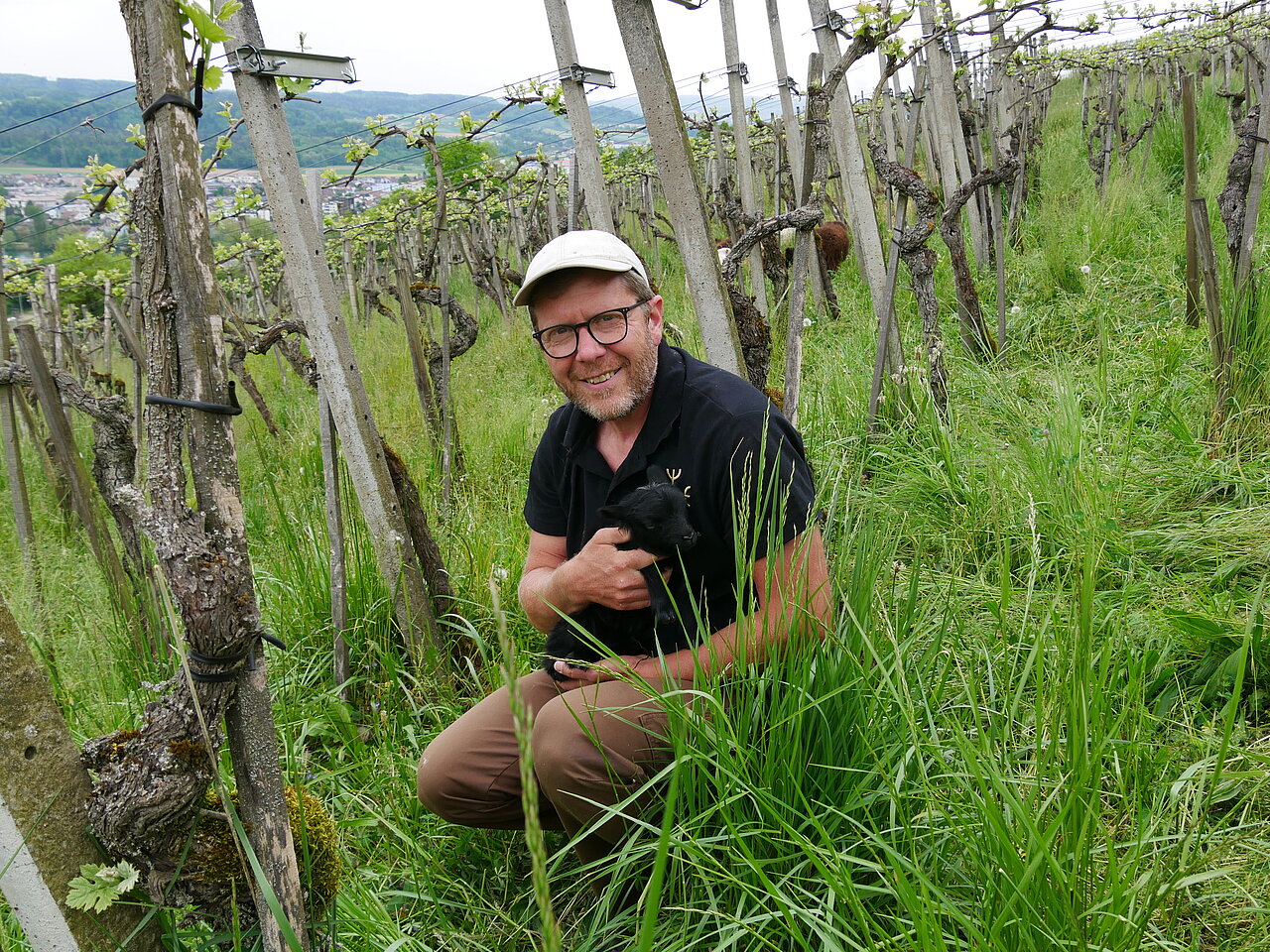 Hoss Hauksson - Hauksson Weine GmbH