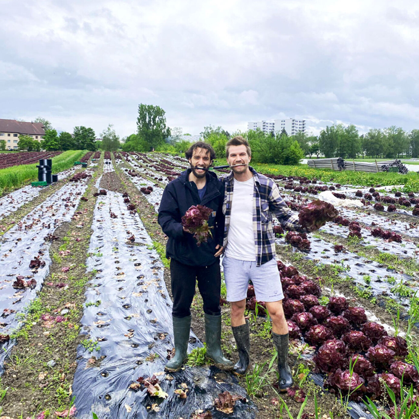 Boaz Barcikowski und Raphael Simmen von Good Market.