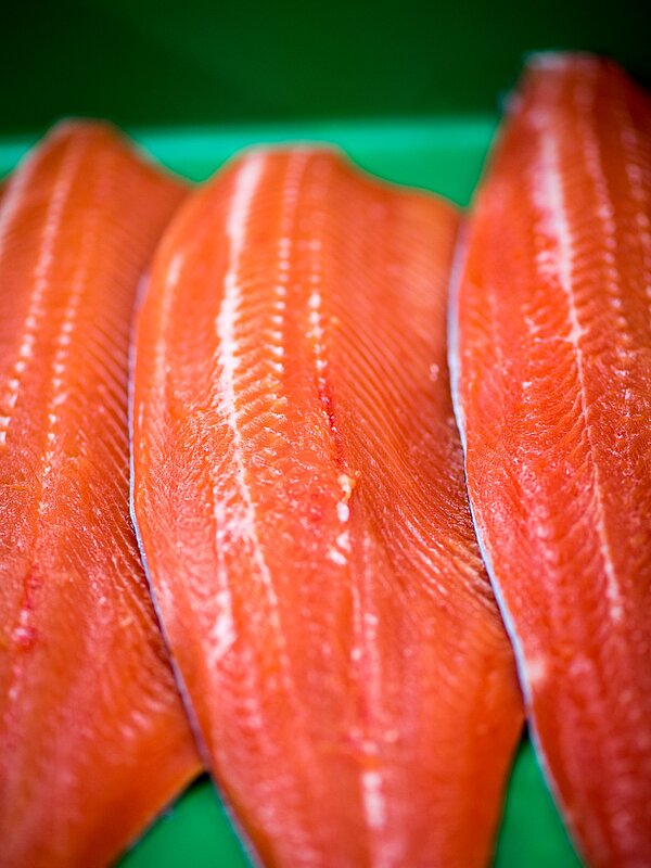Brüggli Forellen Fischzucht Sattel SZ