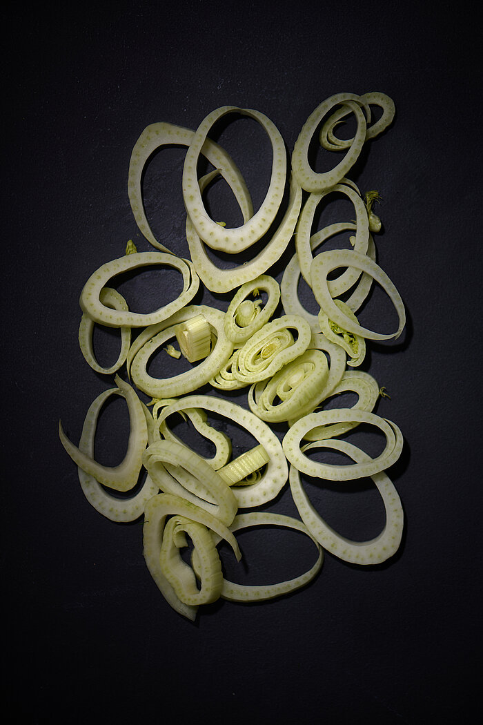 Fenchel Heilkraut Gewürz Gemüse Barbara Hess