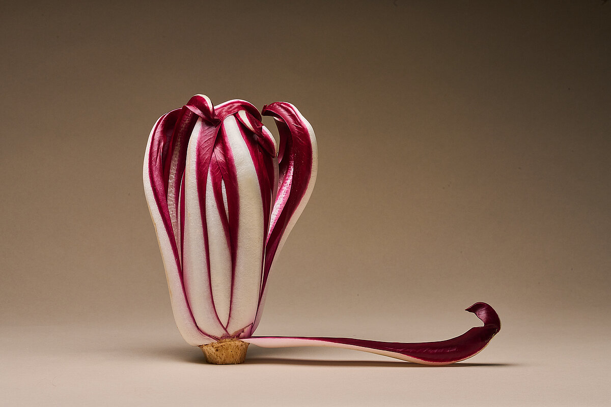 Ein unterschätzter Gartenschatz