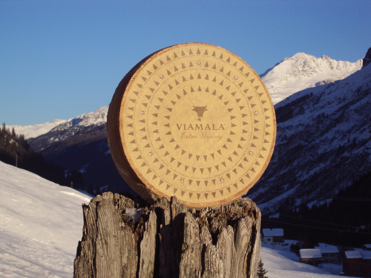 Alpinavera regio.garantie Interview Jasmine Said Bucher