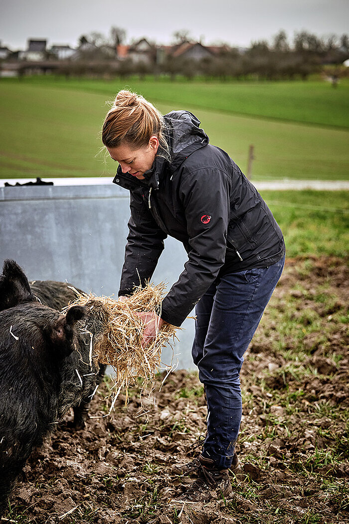 Anna füttert Kuro Schwein