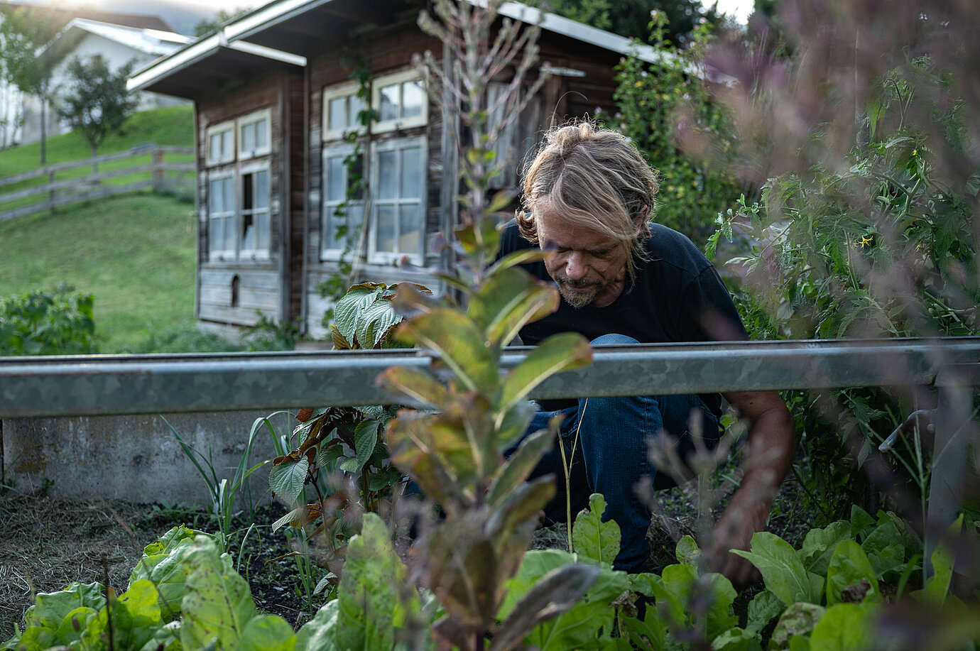 Thomas Monn im Garten