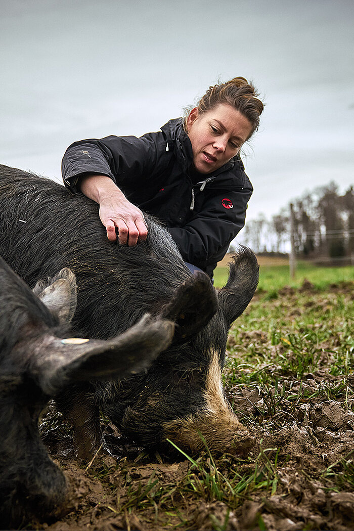 anna pearson mit kuro schwein
