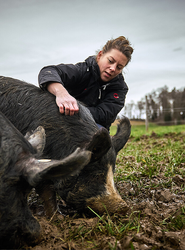 anna pearson mit kuro schwein