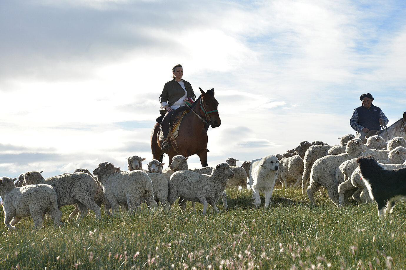 Karin Lanz auf dem Pferd