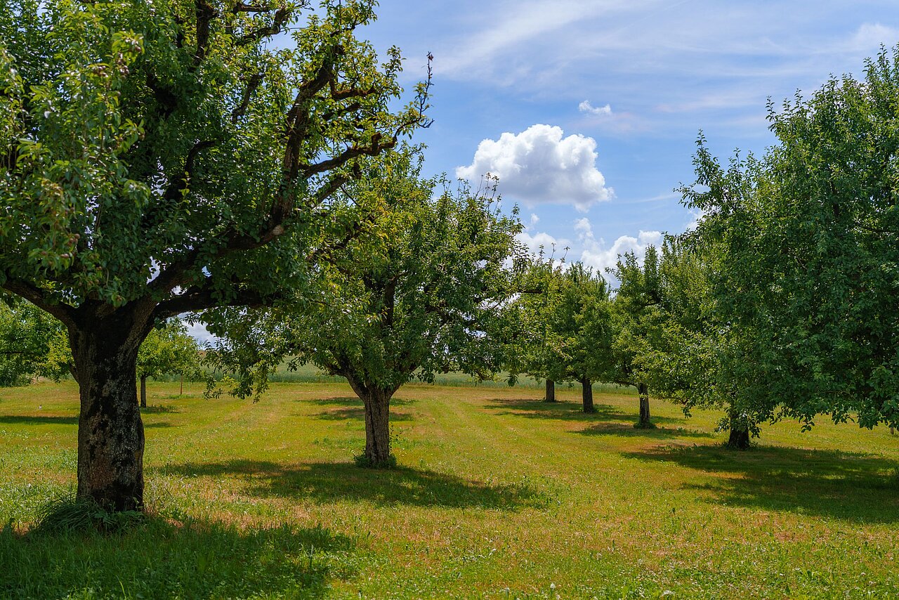 Peter Fröhlich Soil to Soul regenerative Landwirtschaft Syngenta