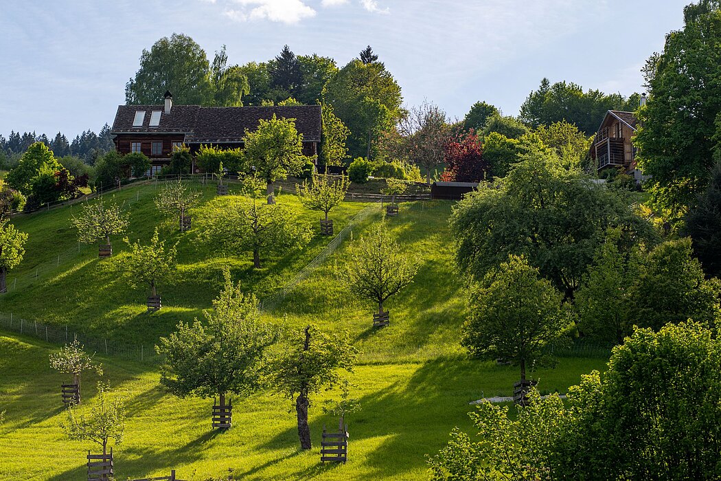 Eventlocation Demeterhof zum Chumen, Ken Burkhard Nadine Abt