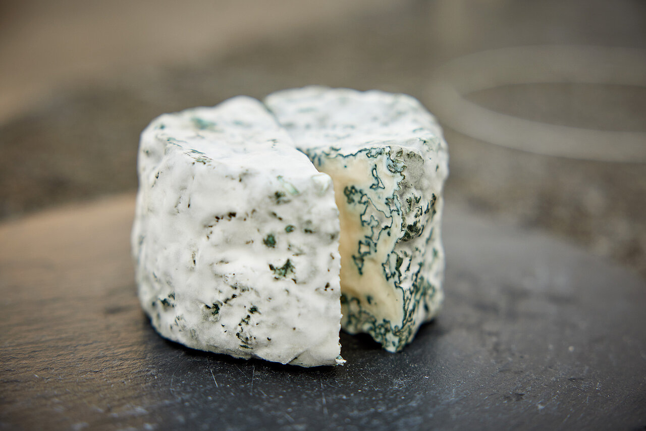 Willi Schmid macht nicht nur Blauschimmelkäse aus Jersey-, sondern auch aus Ziegenmilch. Das ist seine «Blaue Geiss».