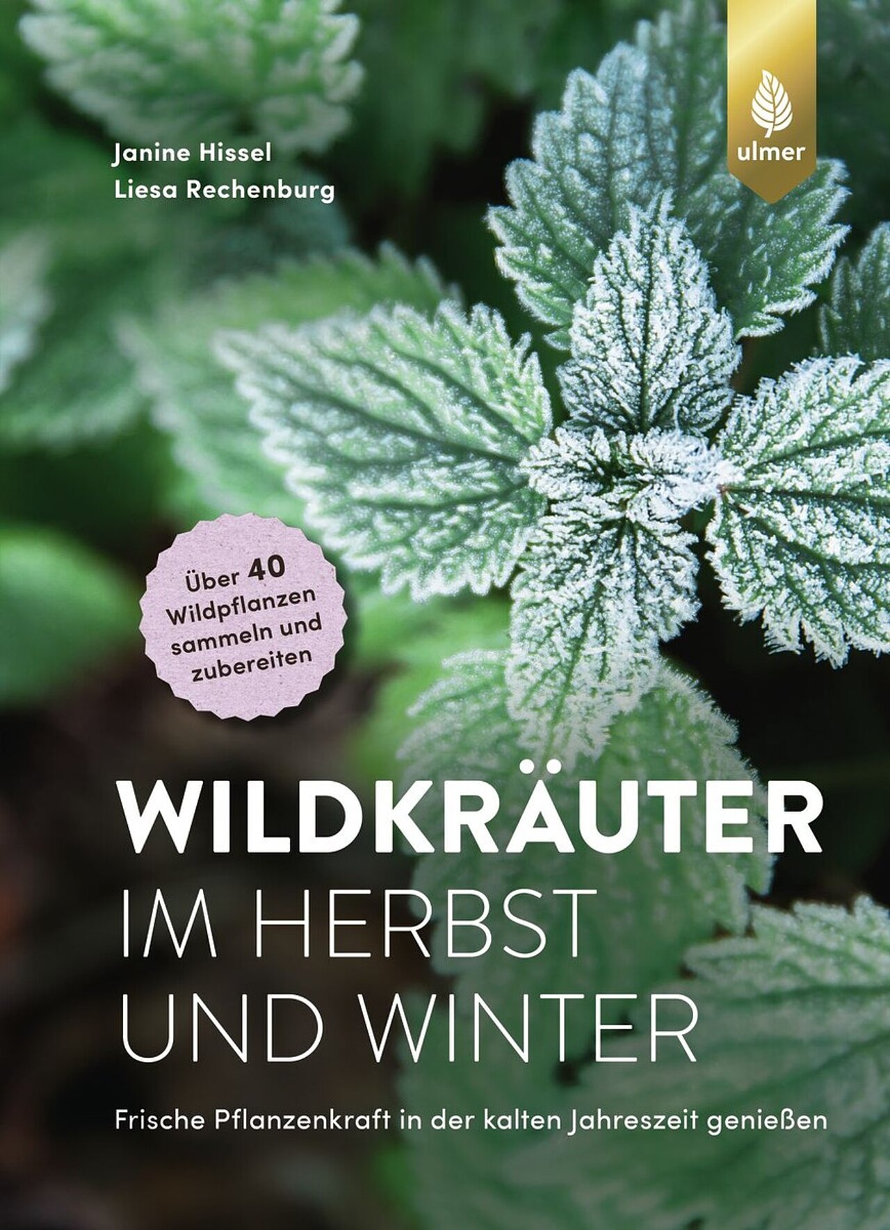 Spitzwegerich Kräuterkolumne Nina Kobelt