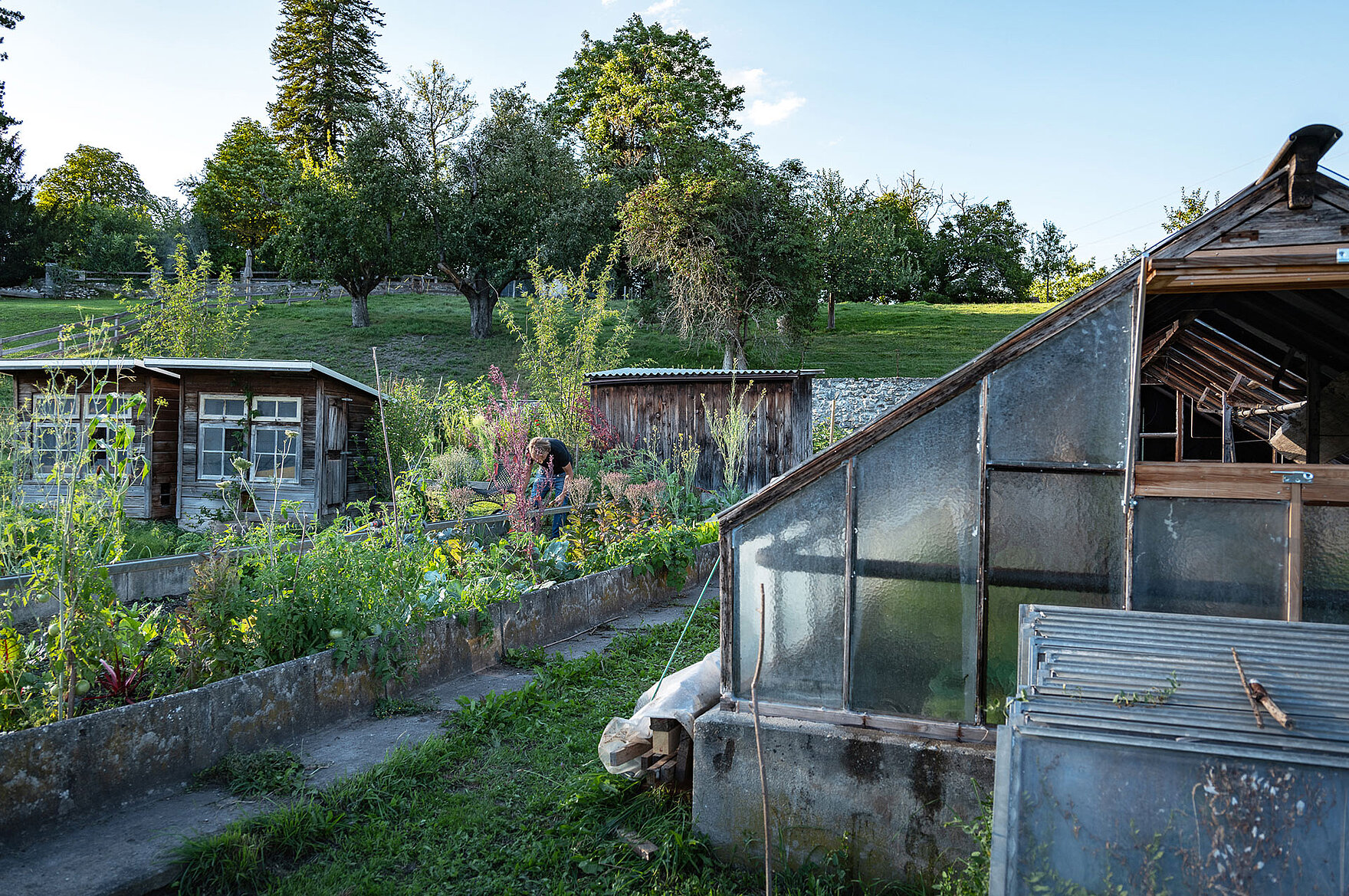 Gartenaufnahme