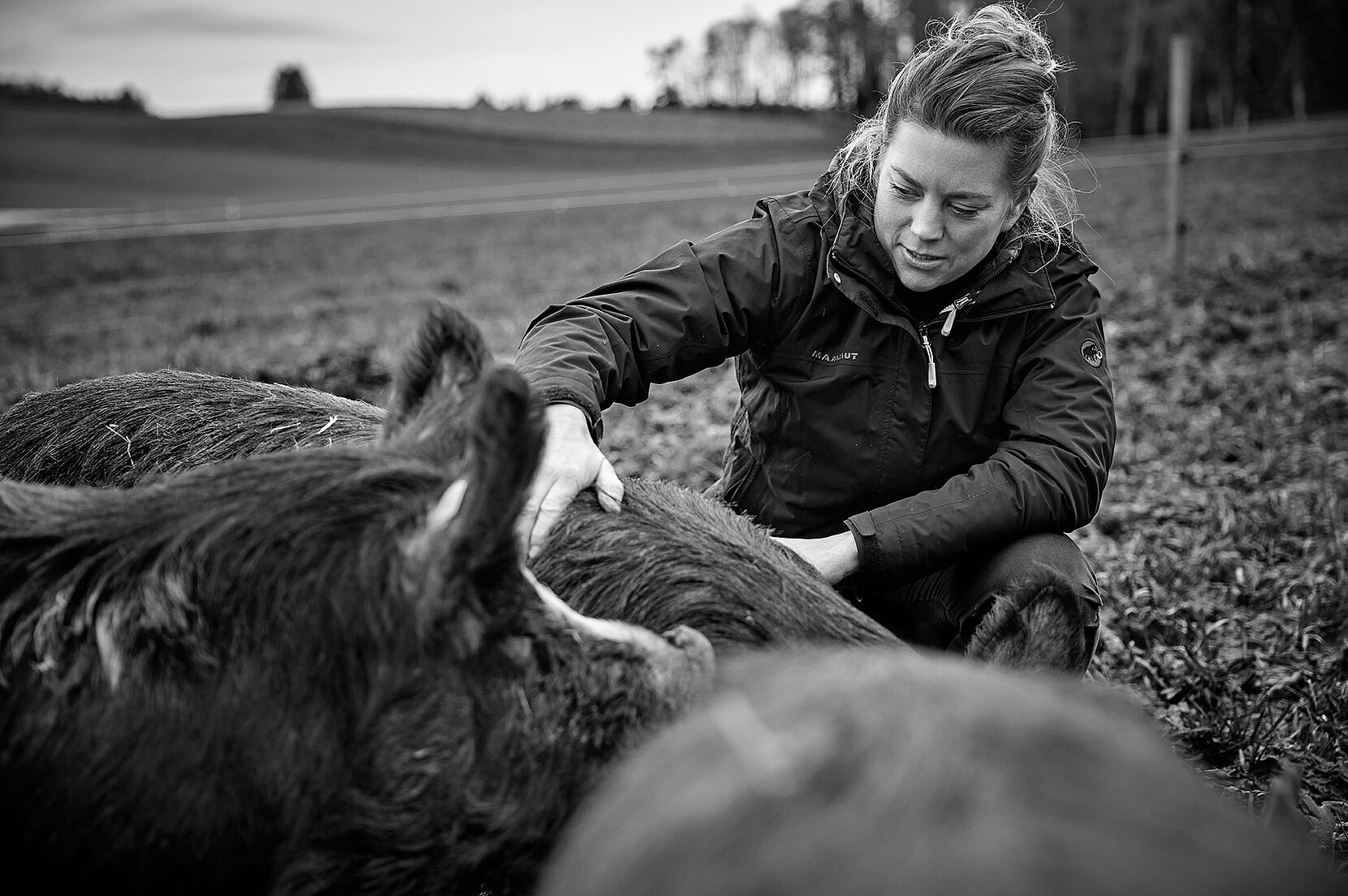 Anna bei den Kuro Schweinen