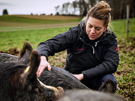 anna pearson mit kuro schwein