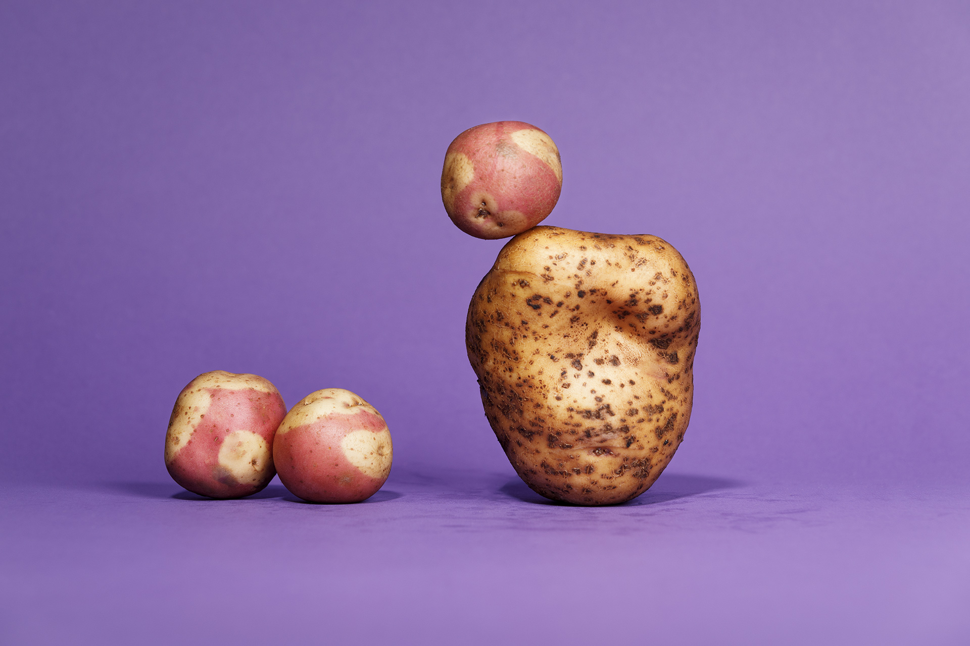 Das Schicksalsjahr der Kartoffel