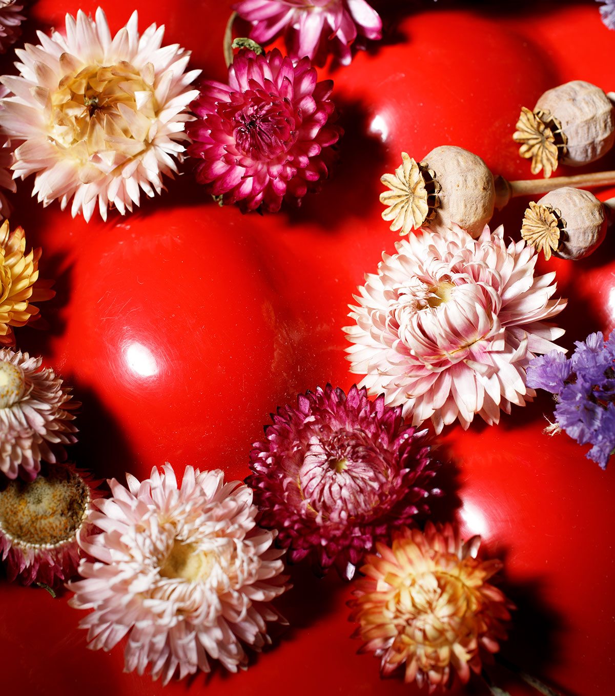 trockenblumen
